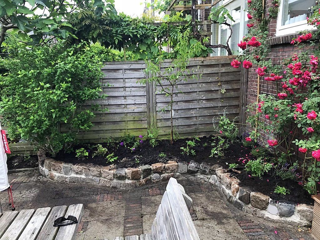 Bloembed met houten schutting, bakstenen rand en bloeiende rozen.