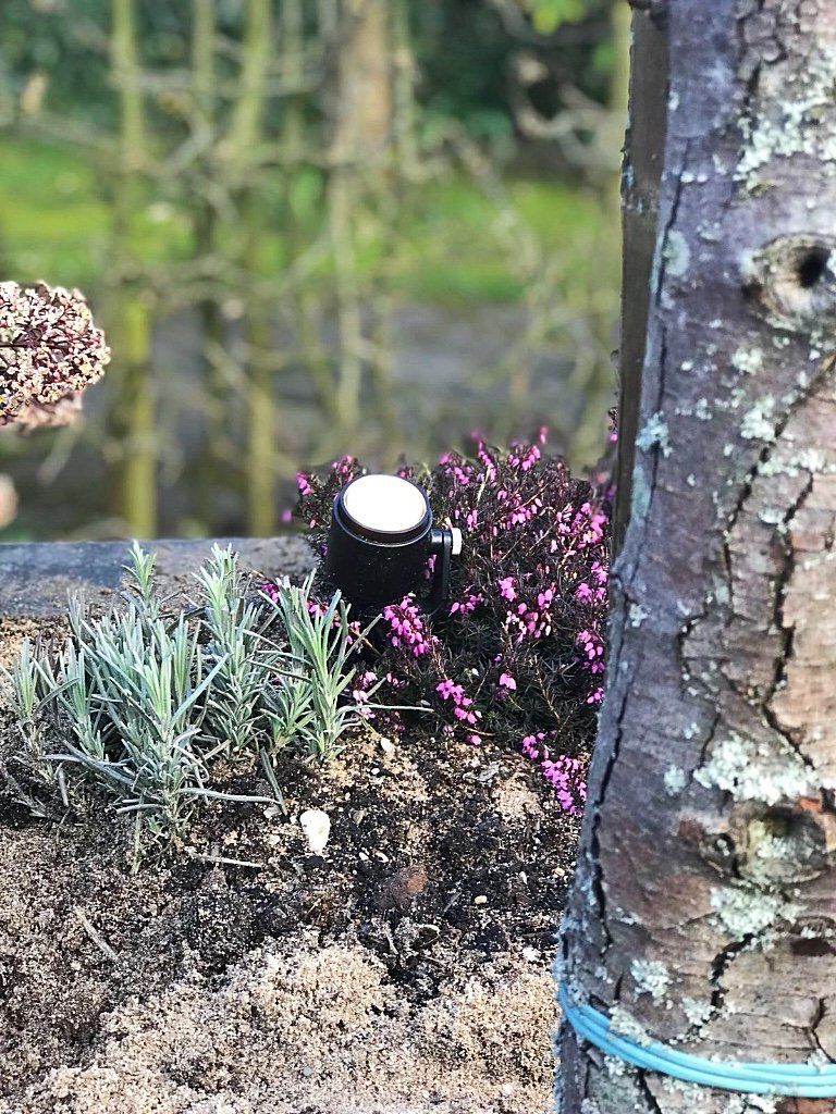 Bloempot met lavendel, paarse heide, een zwart voorwerp en een boomstam.
