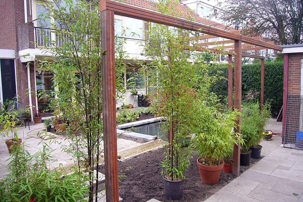 Een pergola met groene potplanten en een kleine vijver in een tuinomgeving.