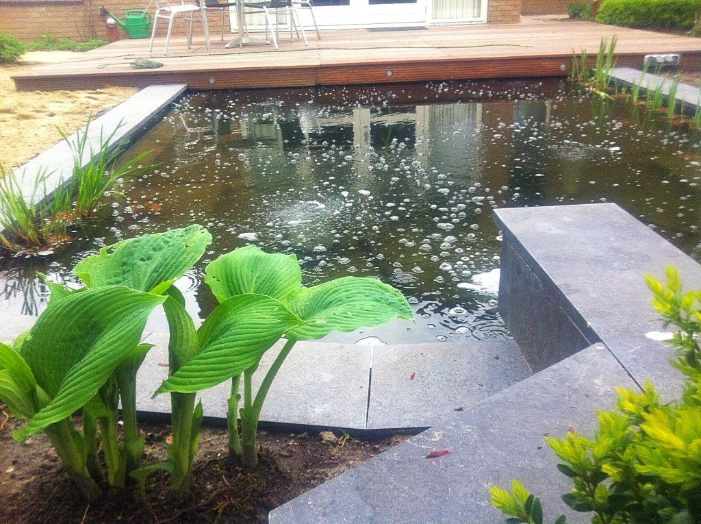 Een vijver in de achtertuin met stenen trappen en weelderige groene planten. Op de achtergrond een houten terras en een witte deur.