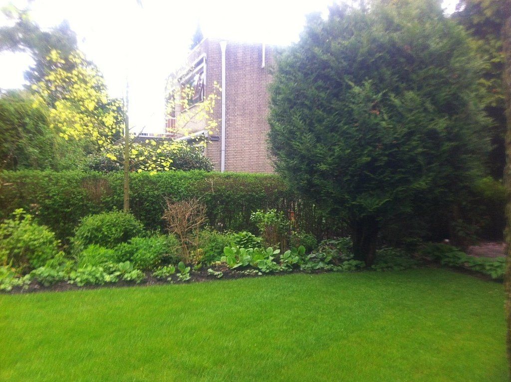 Een groen gazon voor een bloembed met weelderige groene planten en een haag. Op de achtergrond is een bakstenen gebouw te zien.