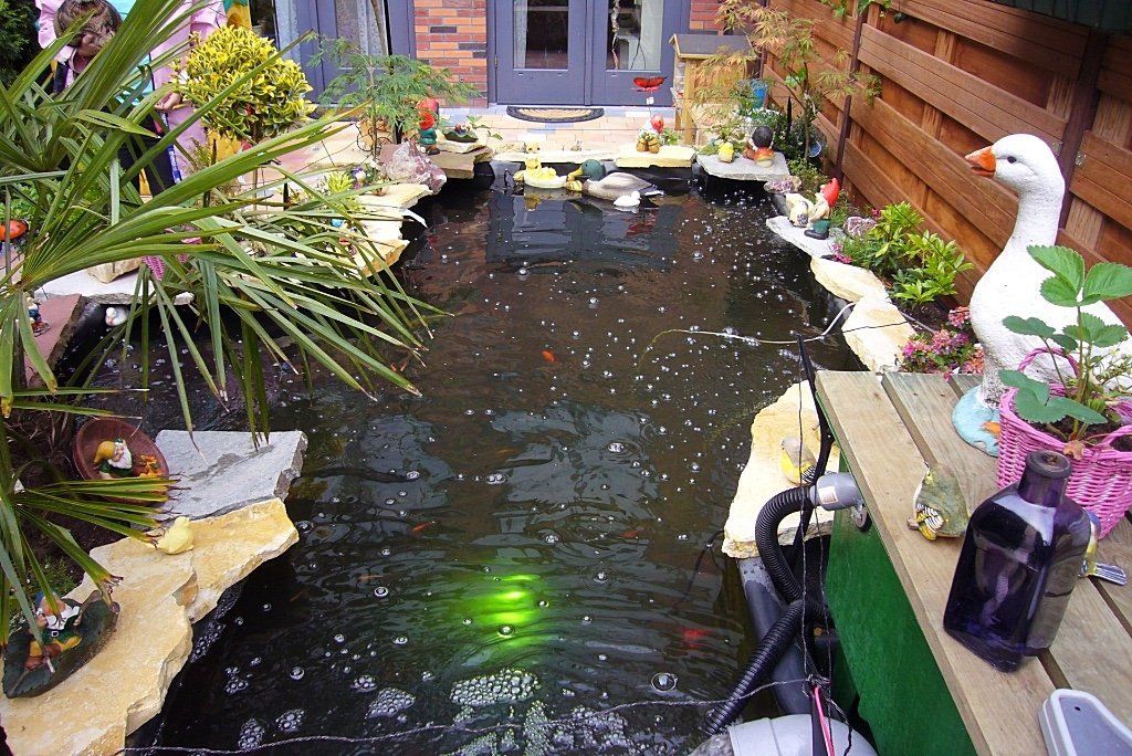 Een vijver in de achtertuin met donker water, omgeven door planten en versieringen, waaronder een wit ganzenbeeld.