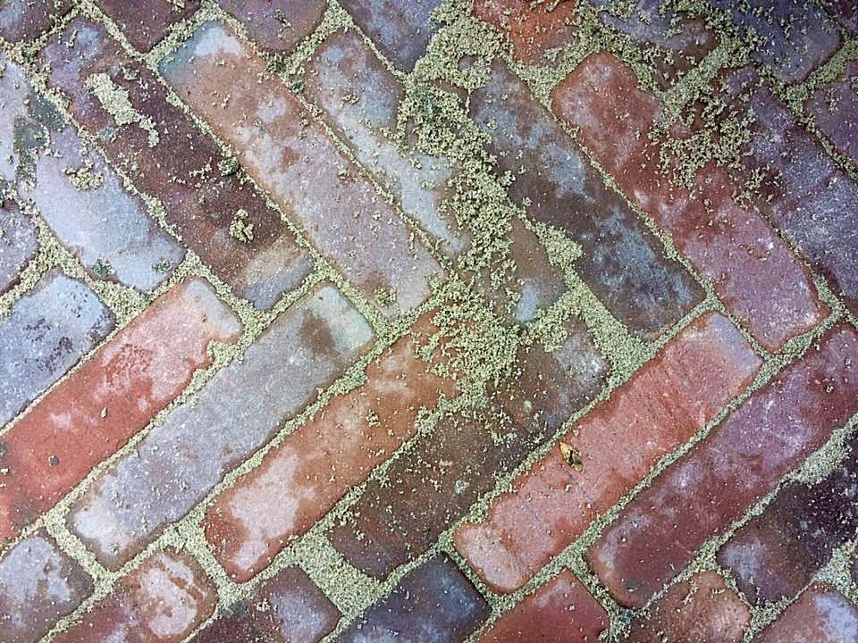Terras van bakstenen in visgraatpatroon met rode, bruine en grijze bakstenen en voegen gevuld met zand.