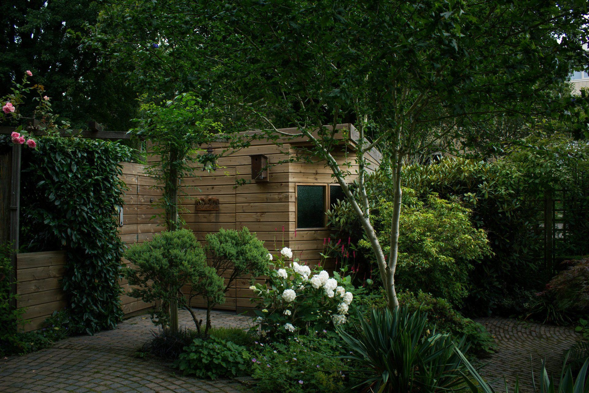 Een houten constructie omgeven door groen in een tuin, met onder andere struiken, bomen en witte rozen.