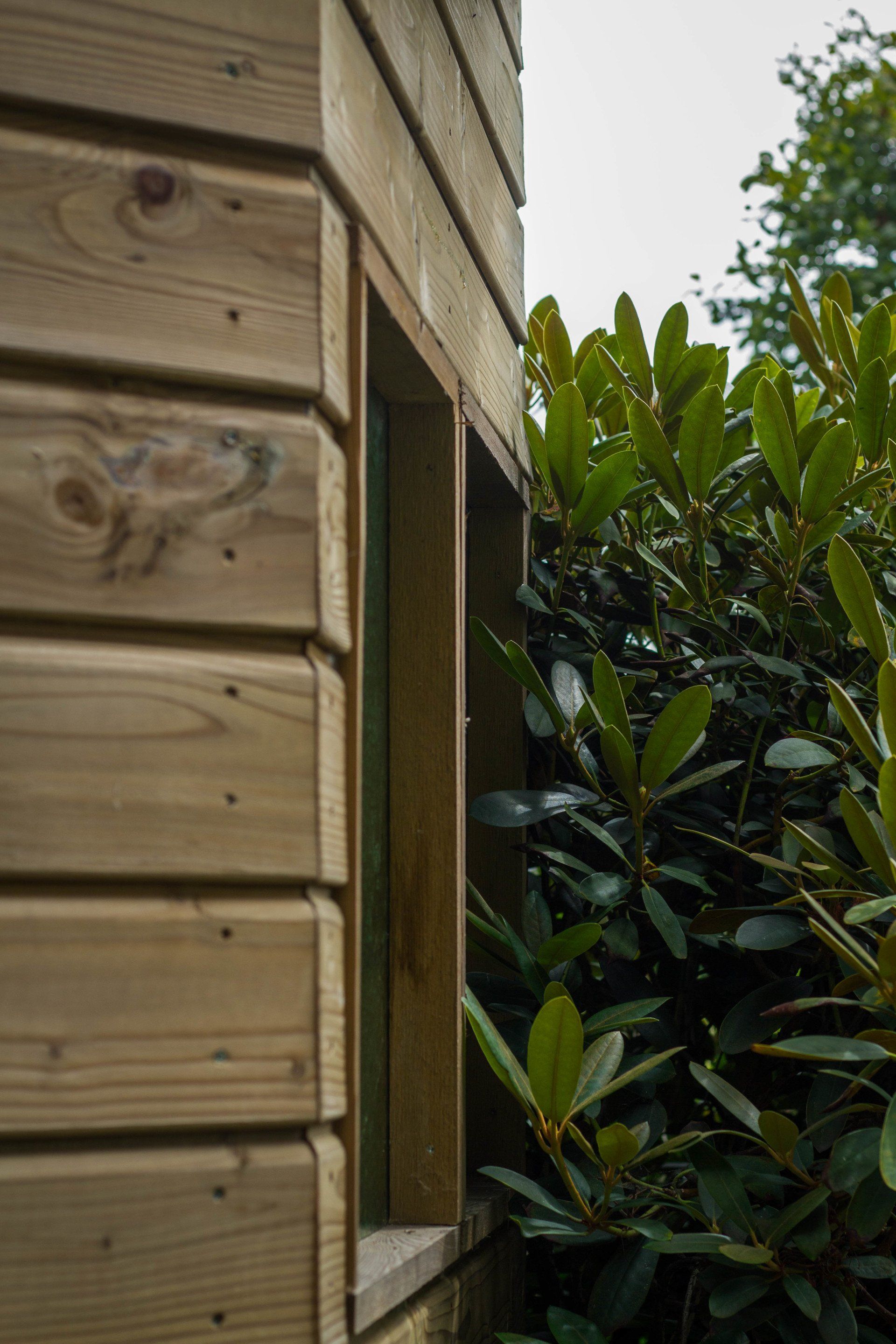 Houten gevel van een gebouw met een leeg raamkozijn naast groen gebladerte.