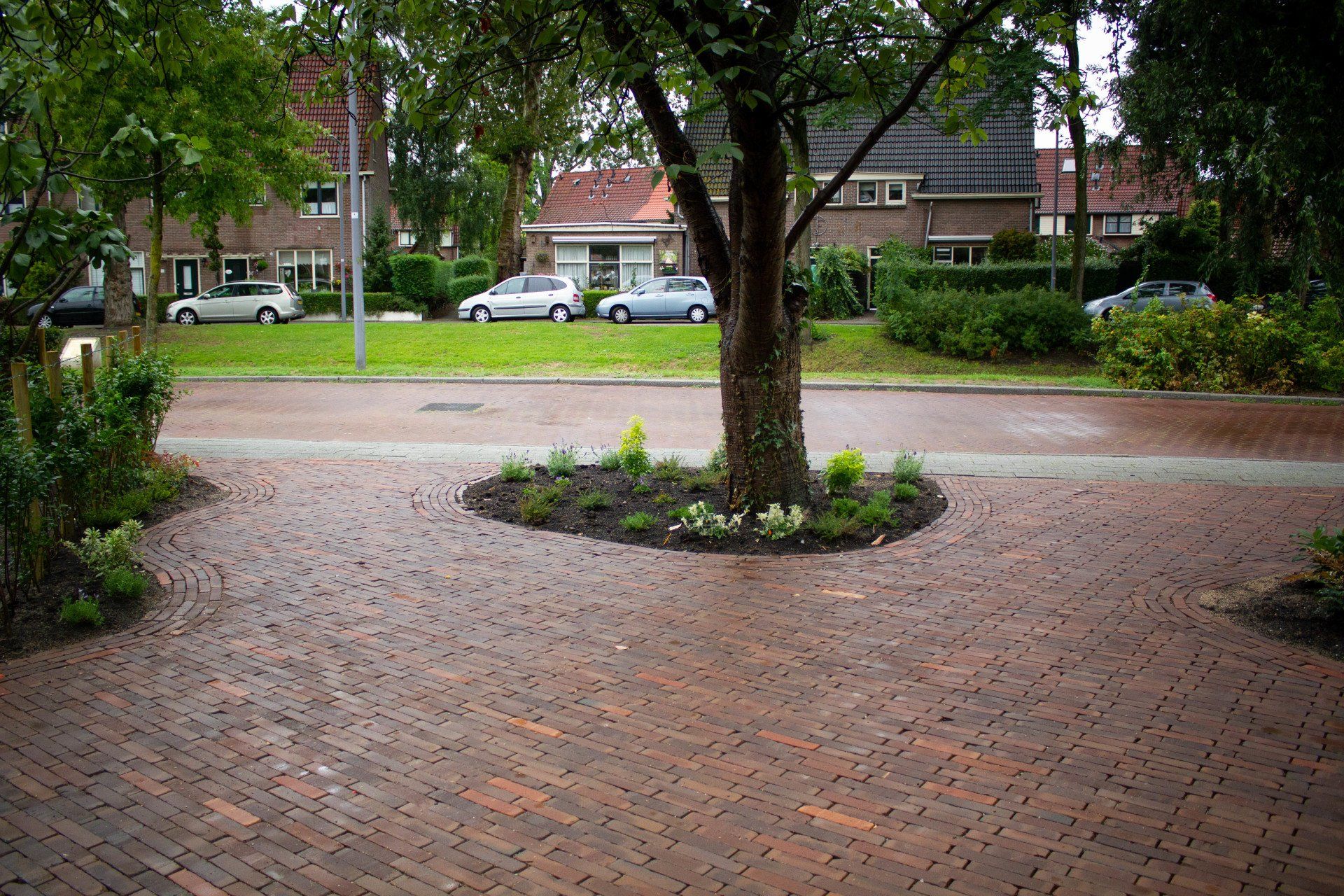 Een straat met bakstenen bestrating, een boom in het midden en een bloembed eromheen. Op de achtergrond zijn auto's en huizen te zien.
