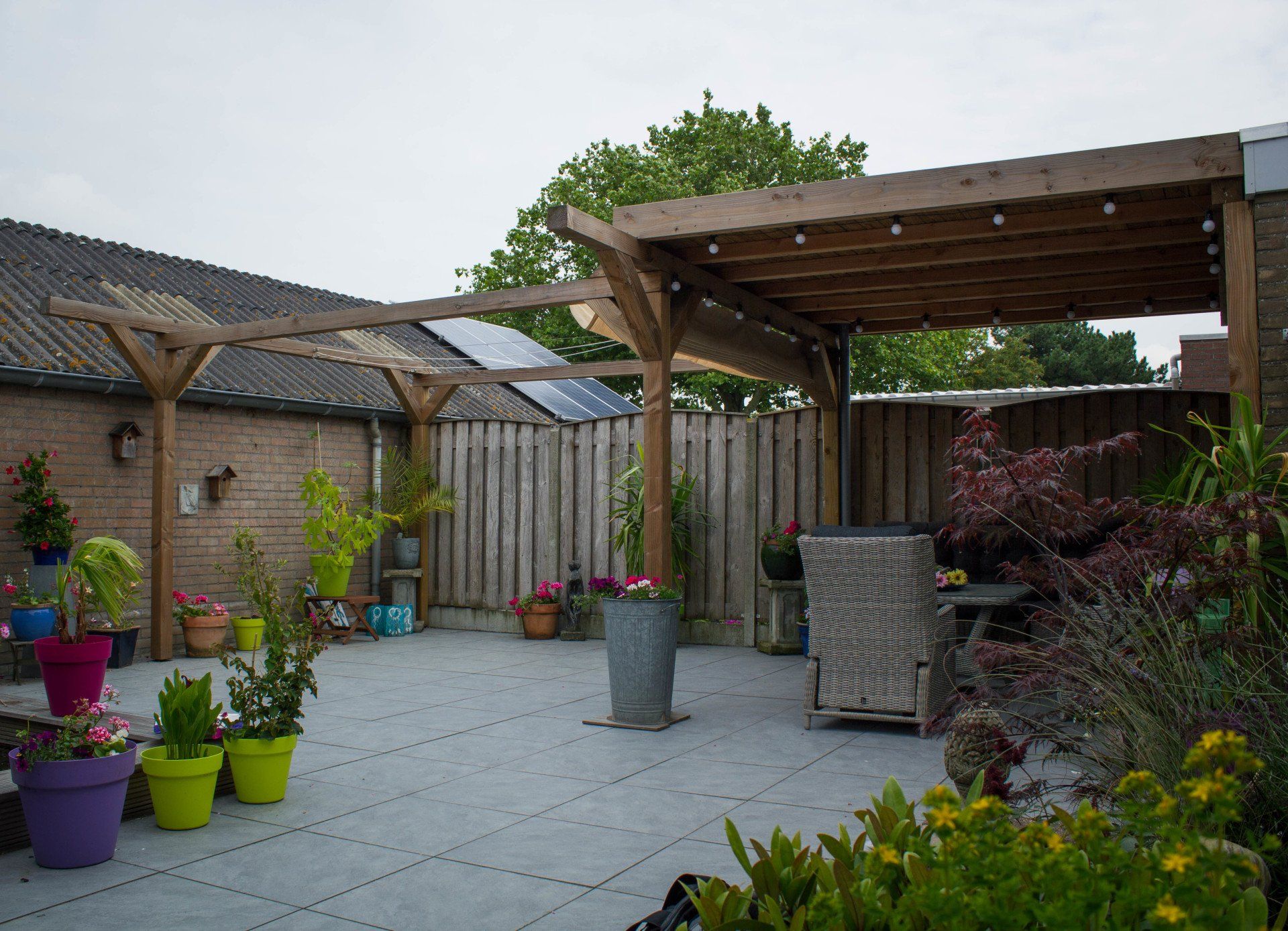 Buitenpatio met houten pergola's, betonnen vloer en diverse potplanten tegen een houten schutting.