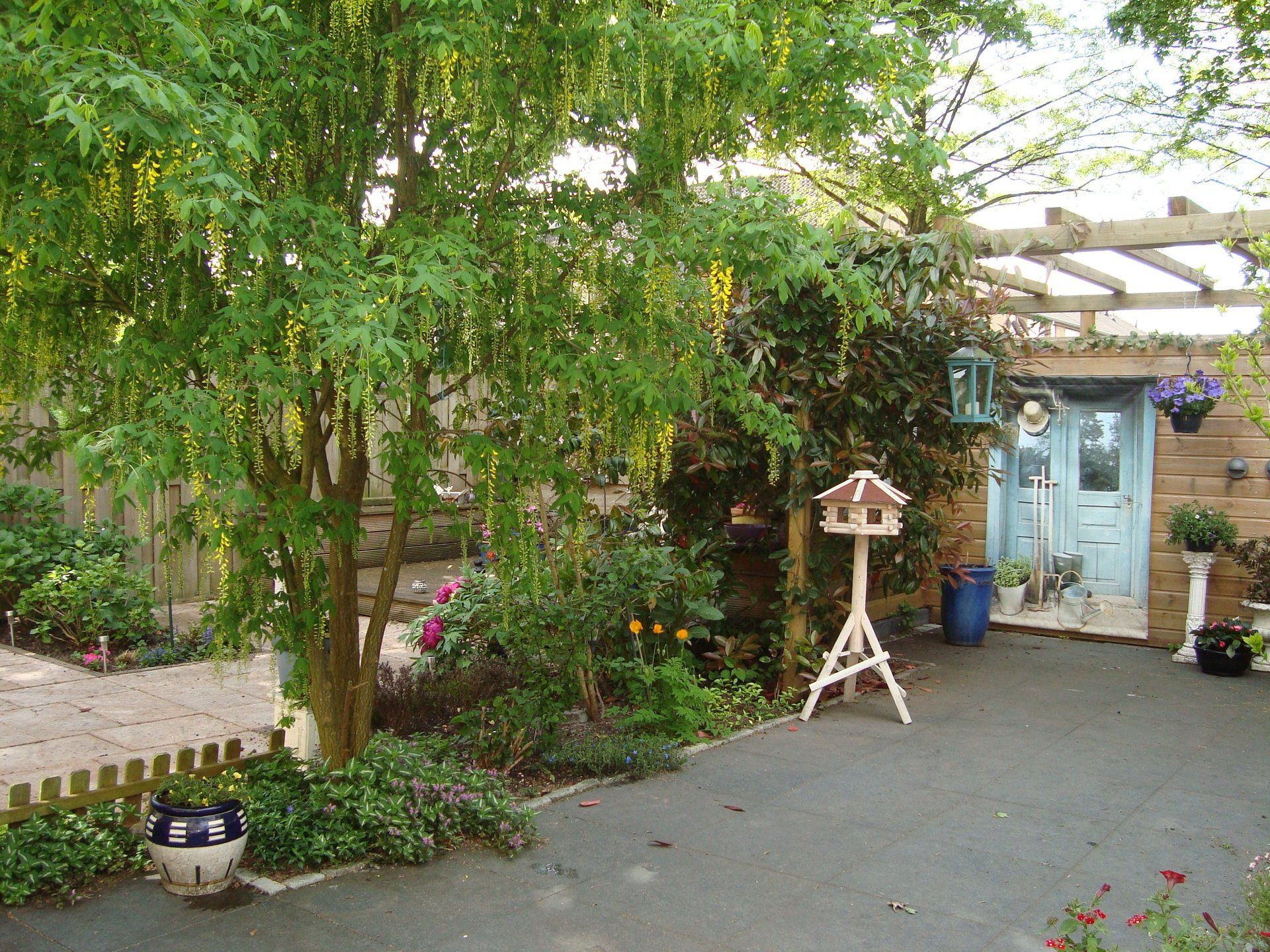 Een weelderige tuinscène met een boom, vogelhuisje, blauwe deur en pergola.