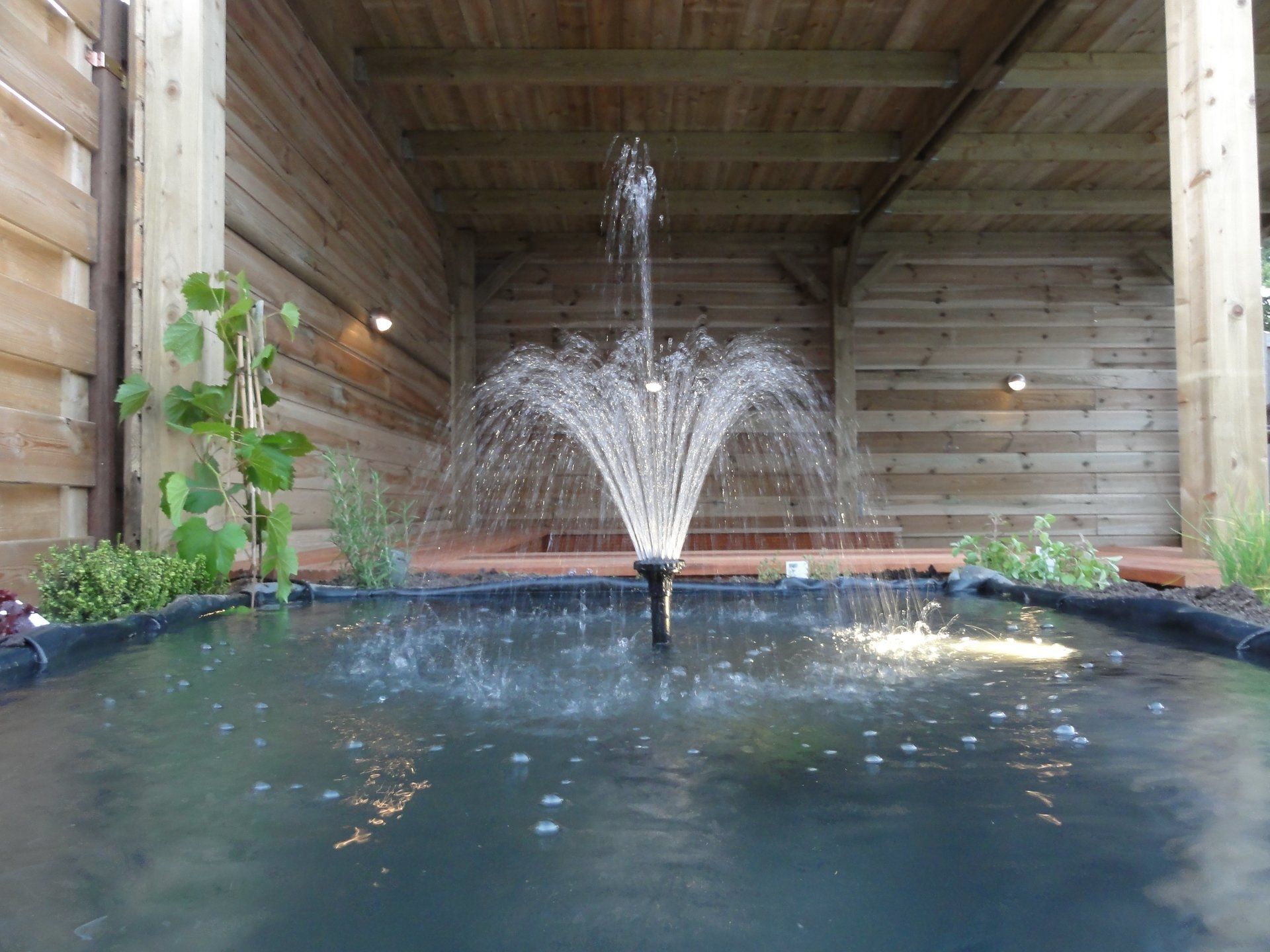 Een fontein spuit water in een vijver in een houten constructie.