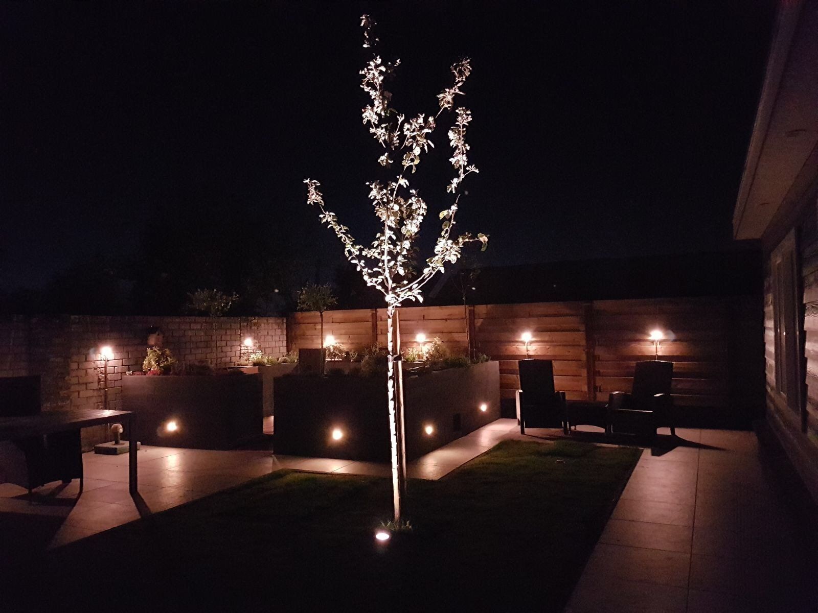 's Nachts verlichte achtertuin: boom, plantenbakken, zitgelegenheid en een houten schutting.