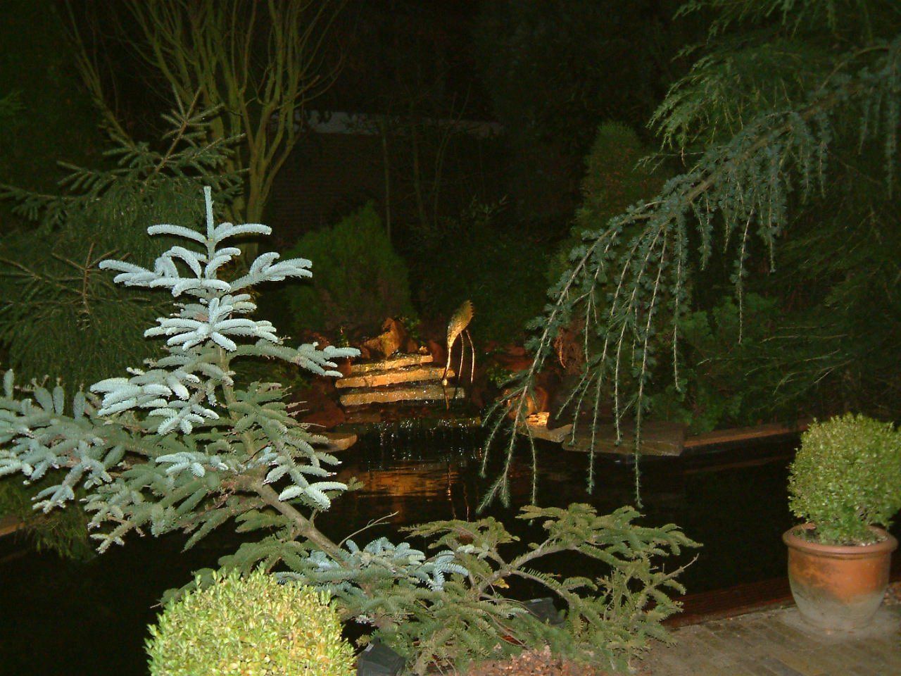 Een tuinscène 's nachts met een waterpartij, groenblijvende planten en subtiele verlichting.