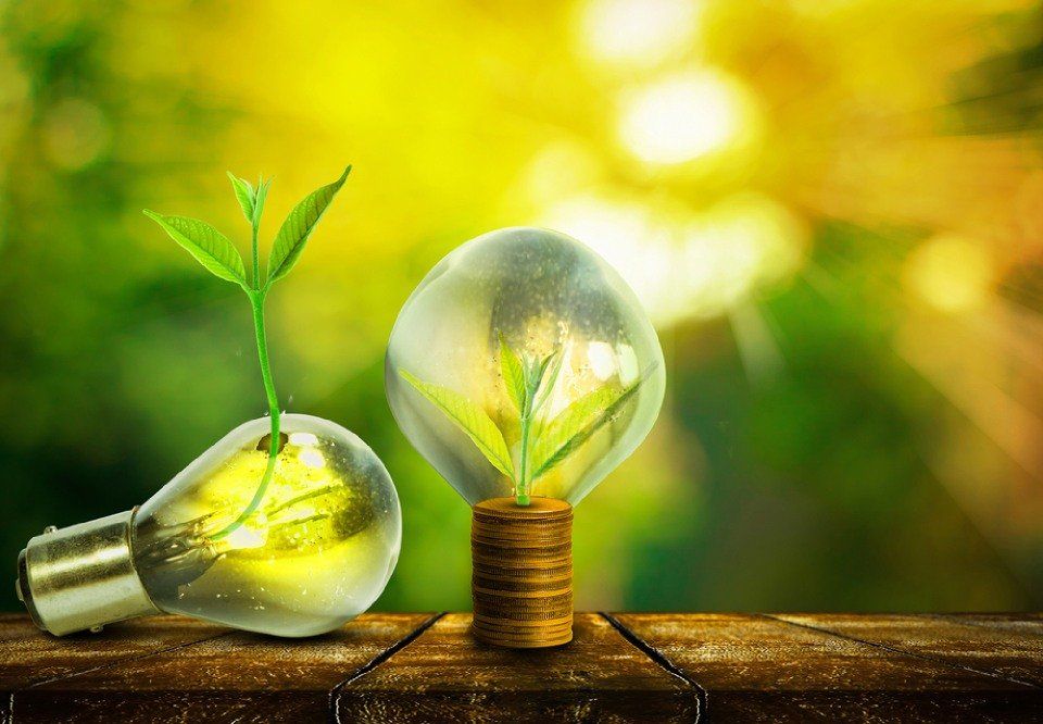 ecocompatibilità