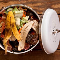 Food Waste