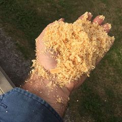 Shavings
