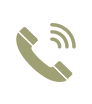 phone Icon phone Icon