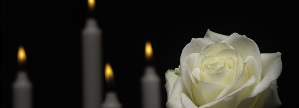 rosa bianca e lumi accesi