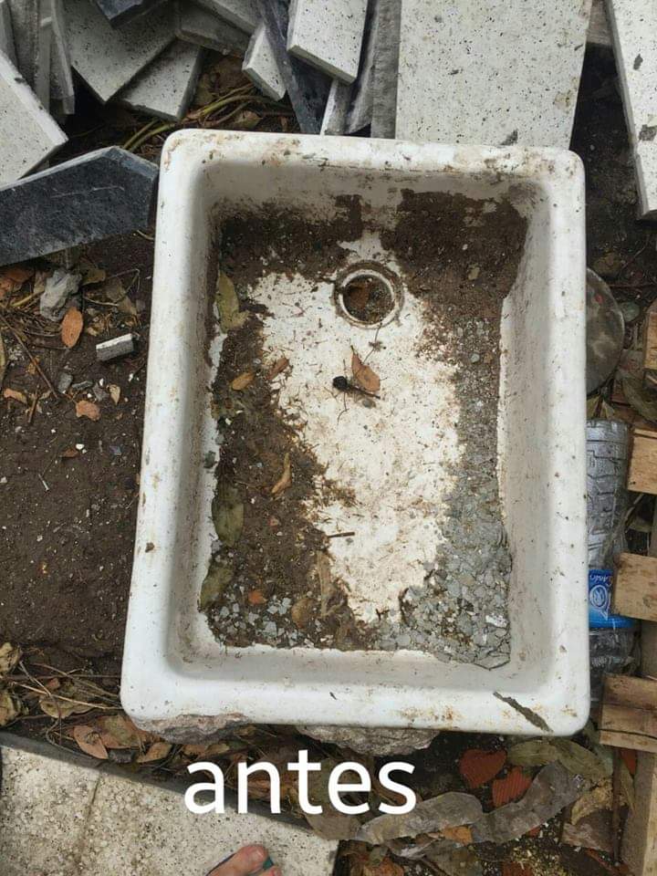 Enlozado Mara