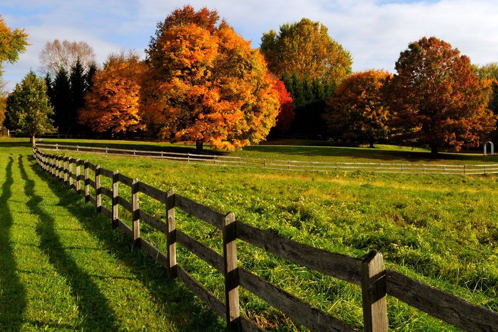 field