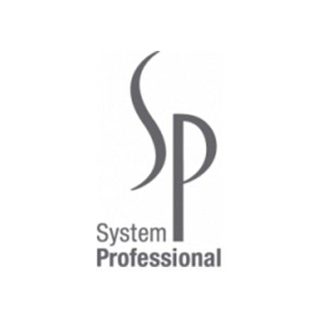 Ein Logo für ein Unternehmen namens System Professional
