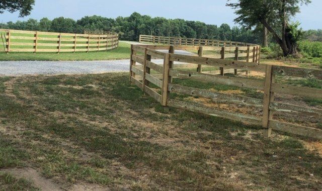 Wooden fences enclose a grassy area, with a gravel road. Trees and blue sky in the background.