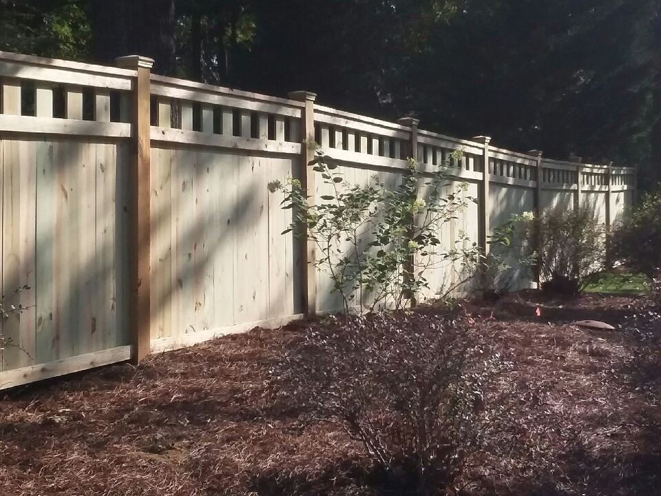 Wooden fence in a yard with mulch and plants; trees in the background.