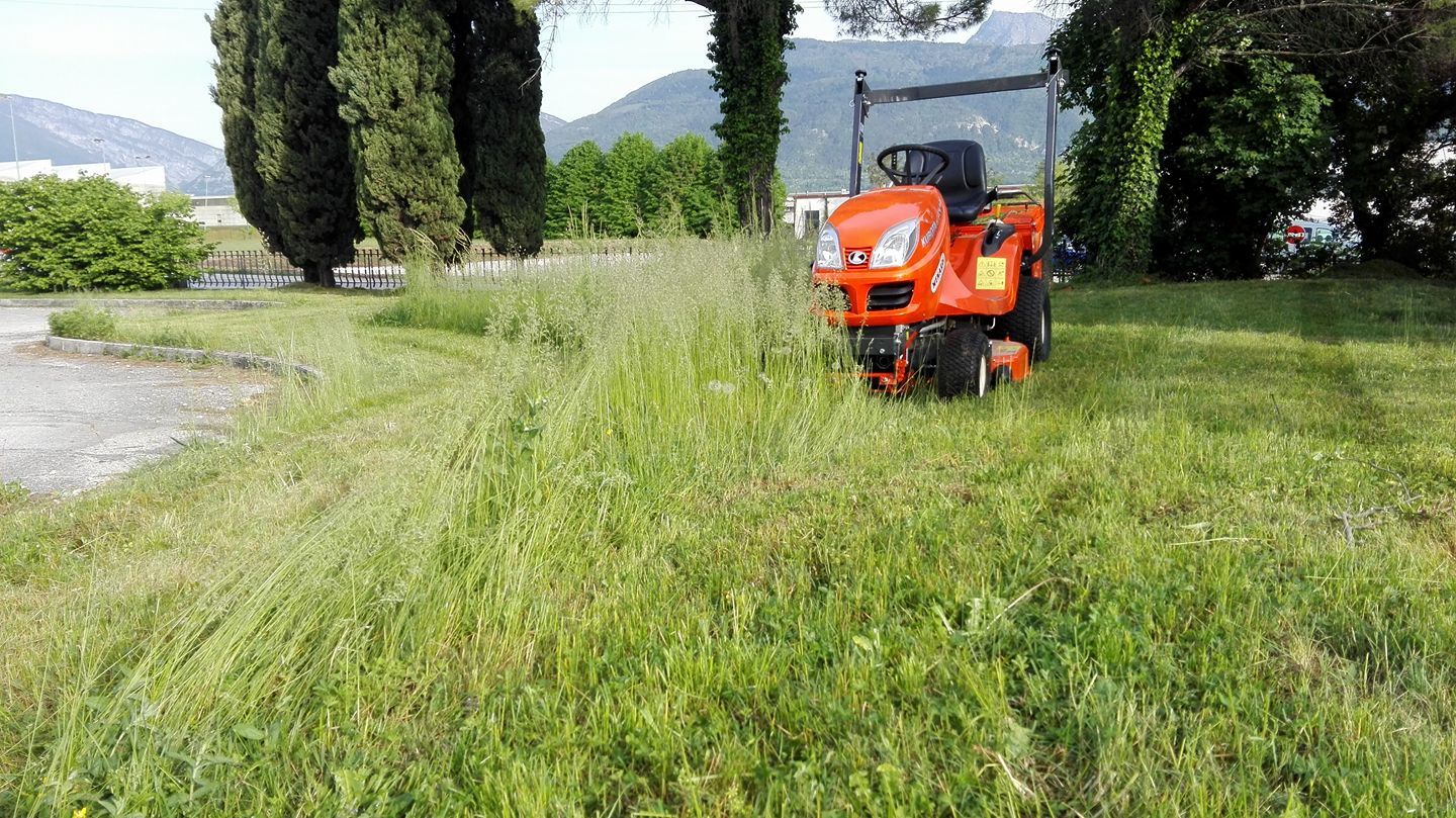 prato da tagliare