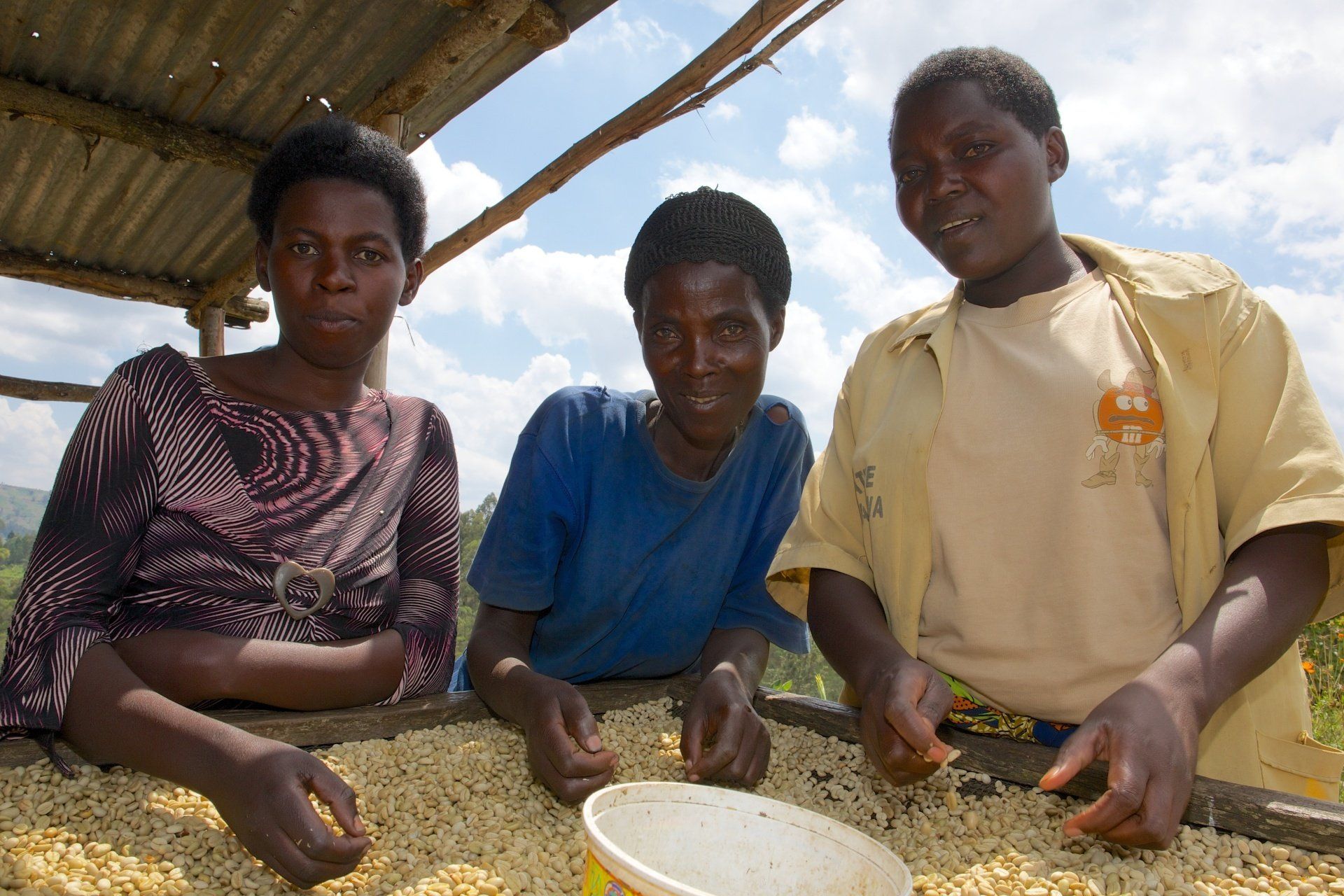 Three people are sitting on a table with a bowl of coffee beans