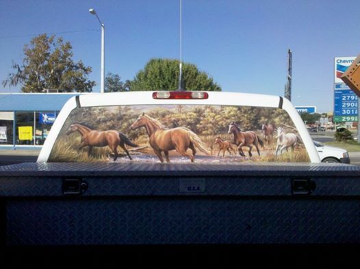 rear window decals