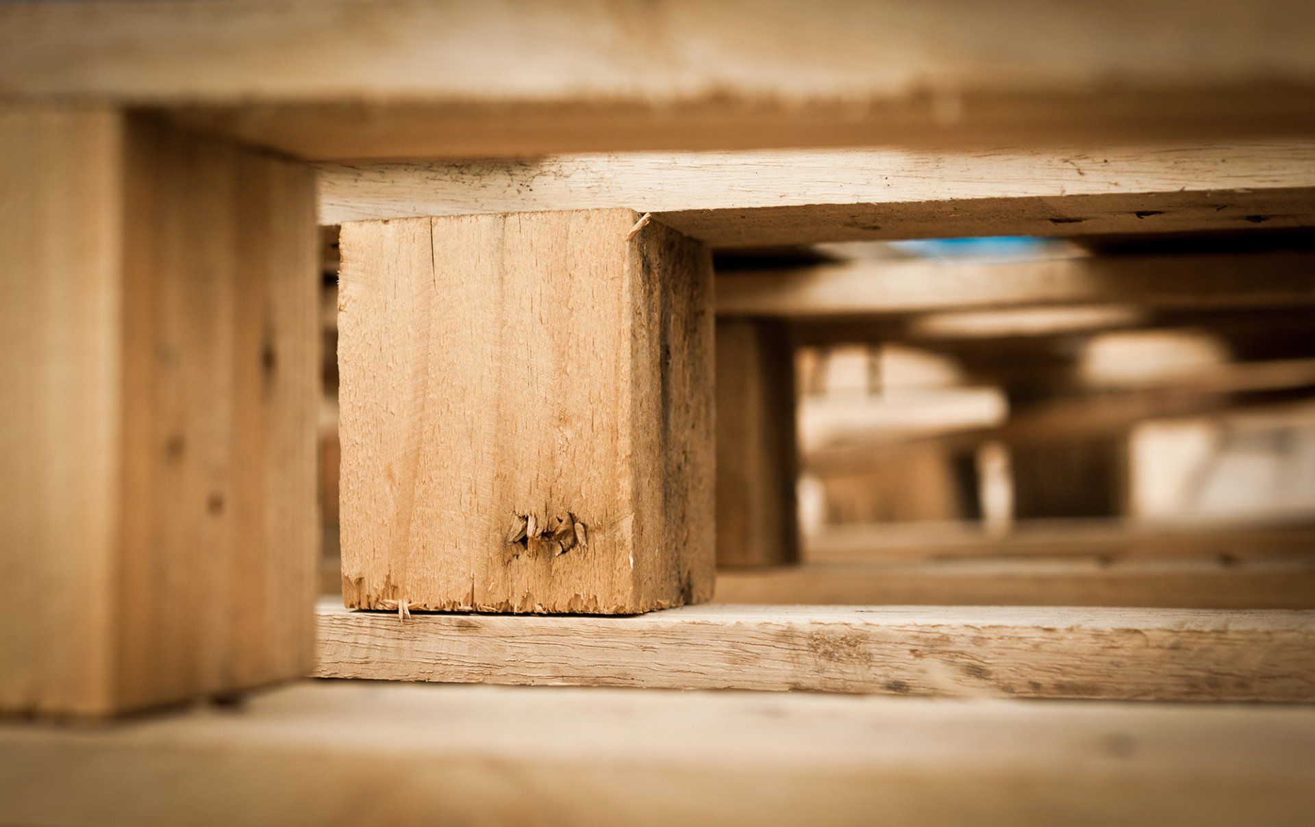 packaging in legno