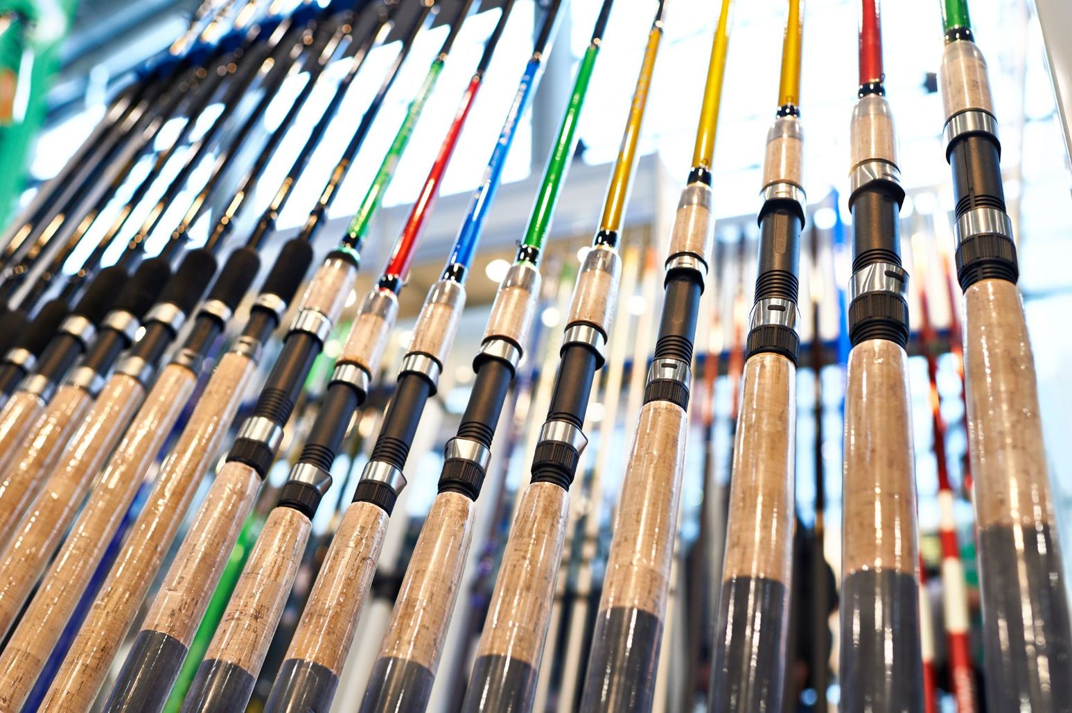 canne da pesca in esposizione