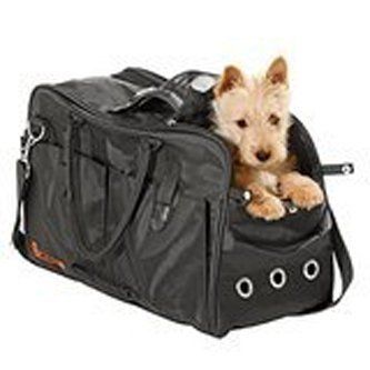 rigenerazione borsa cane