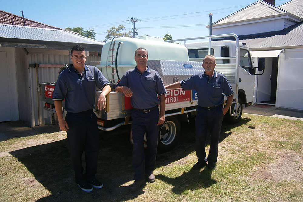 experienced technicians