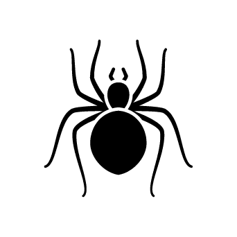 spider icon