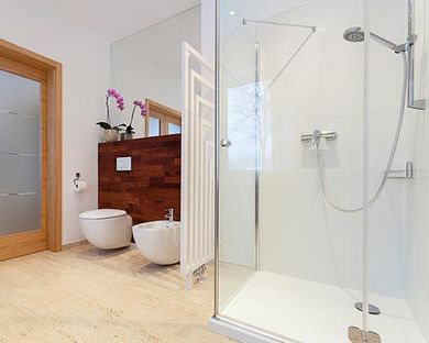 Spacious bathroom with doors - glass, mirror, windows in Evanston, IL Spacious bathroom with doors - glass, mirror, windows in Evanston, IL