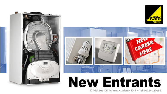 New Domestic Gas Entrants