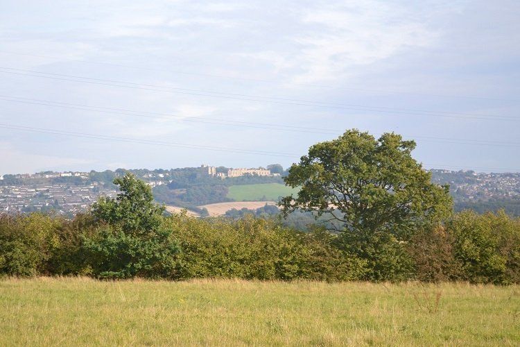 an open and green field