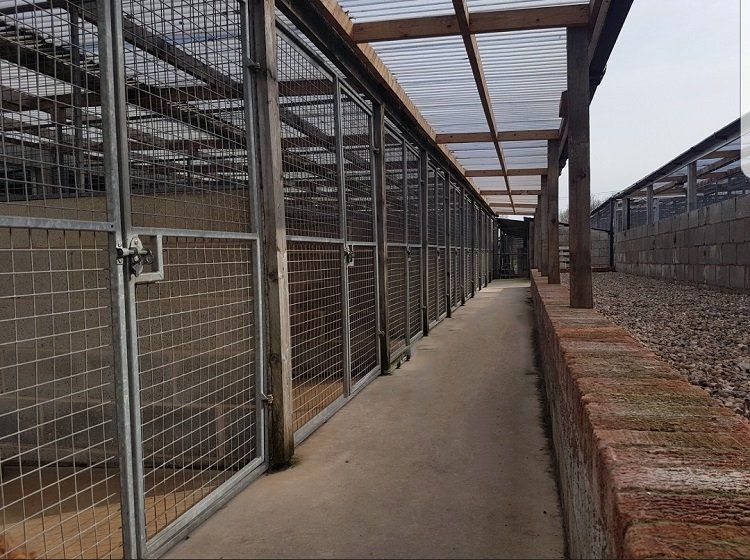 outdoor dog kennels