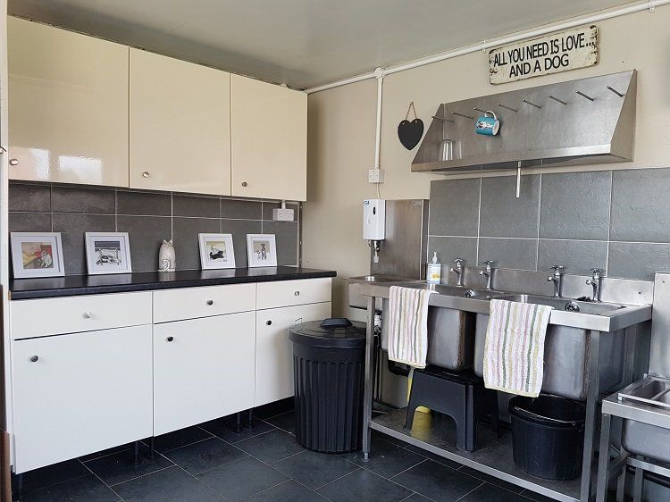 a modern style contemporary kitchen