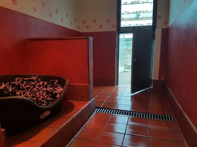 orange tiled flooring room