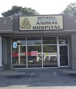 general veterinary services general veterinary services