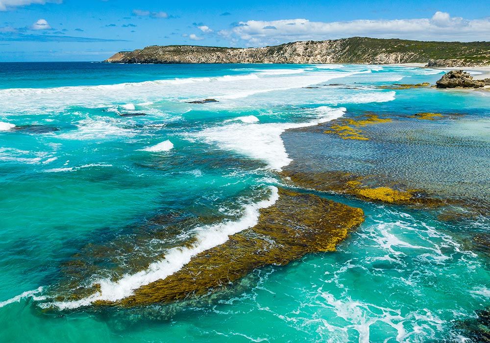 kangaroo island