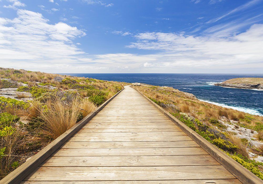 kangaroo island boardwalk