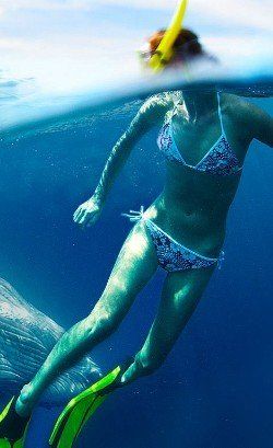Snorkeler in blue bikini swimming underwater with fins near the ocean surface