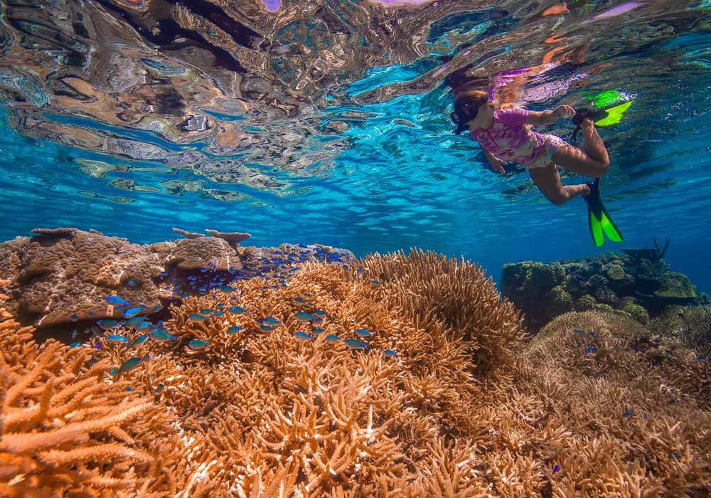girl snorkelling