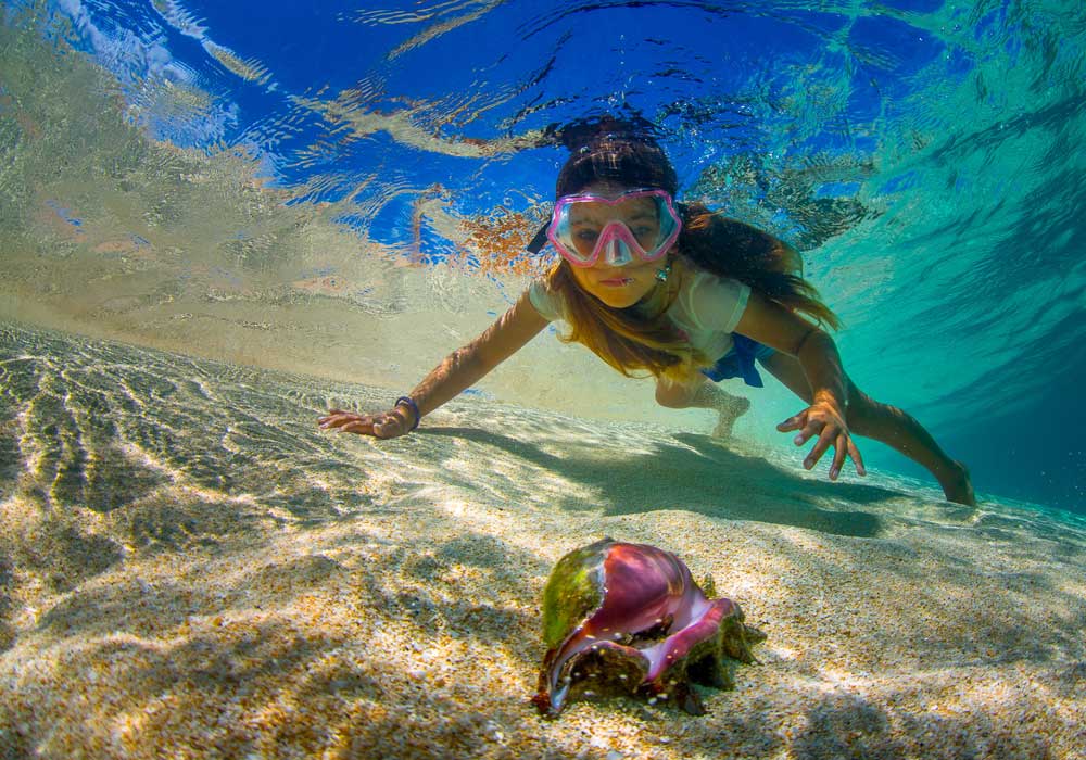 Snorkeler swimming underwater above a sandy reef, reaching toward a pink seashell