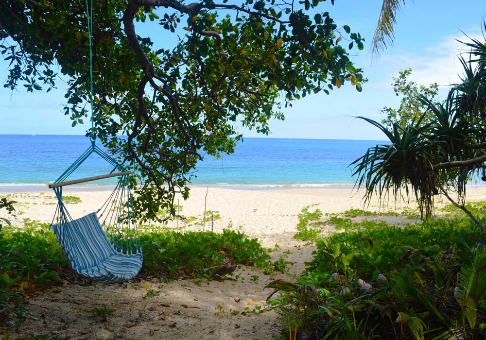 A blue hammock hangs under trees facing a sandy beach and calm turquoise ocean.