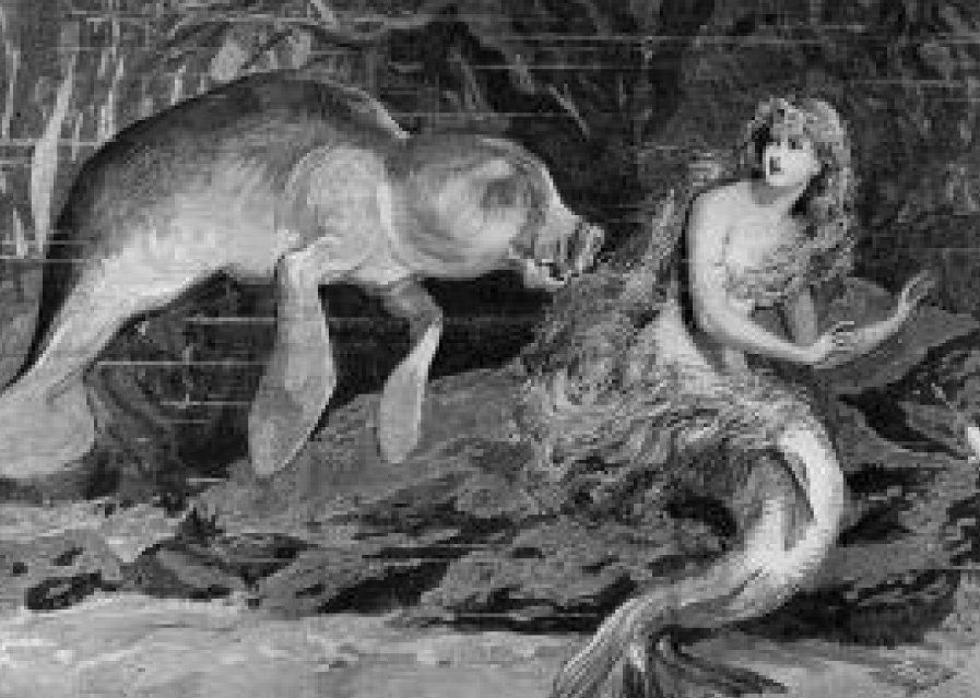 christopher columbus sights mermaids