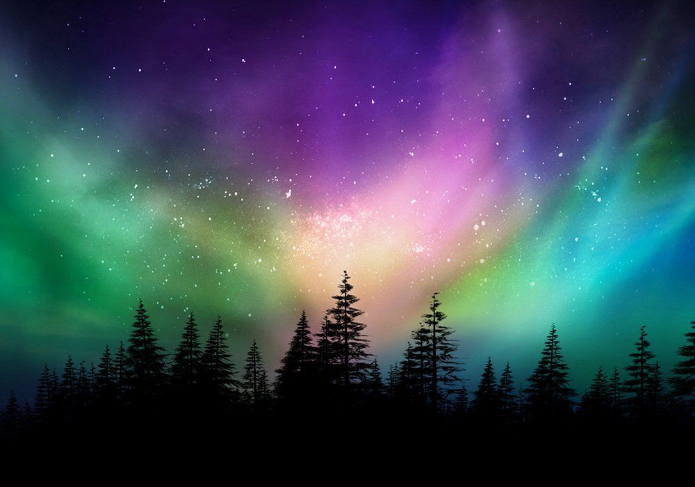 Aurora-like colorful sky above silhouetted pine trees at night