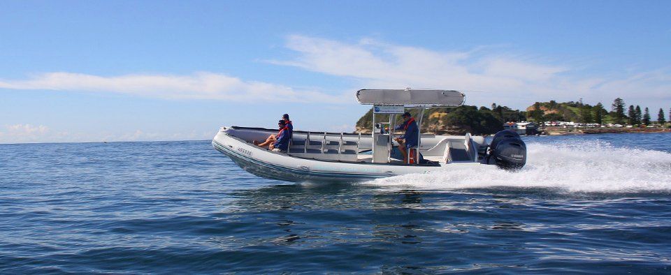 terrigal ocean tours boat terrigal ocean tours