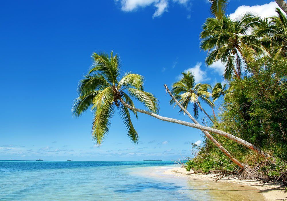 Tropical beach with palm trees, white sand, and clear blue water under a bright sky